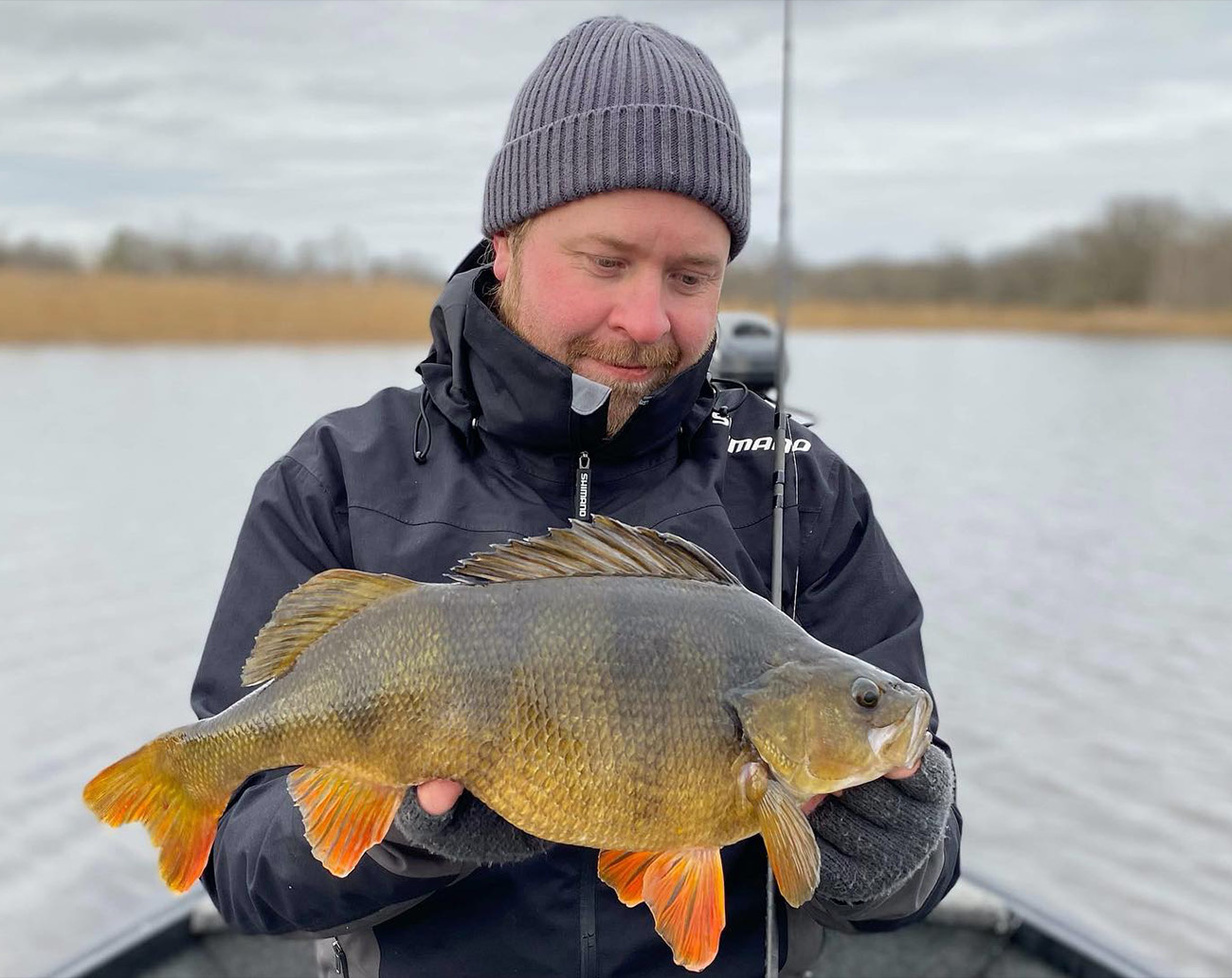 Bite Of Bleak Tungsten Free Rig 